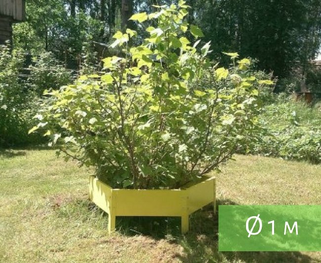 Клумба "Сота" 500 в Новосибирске